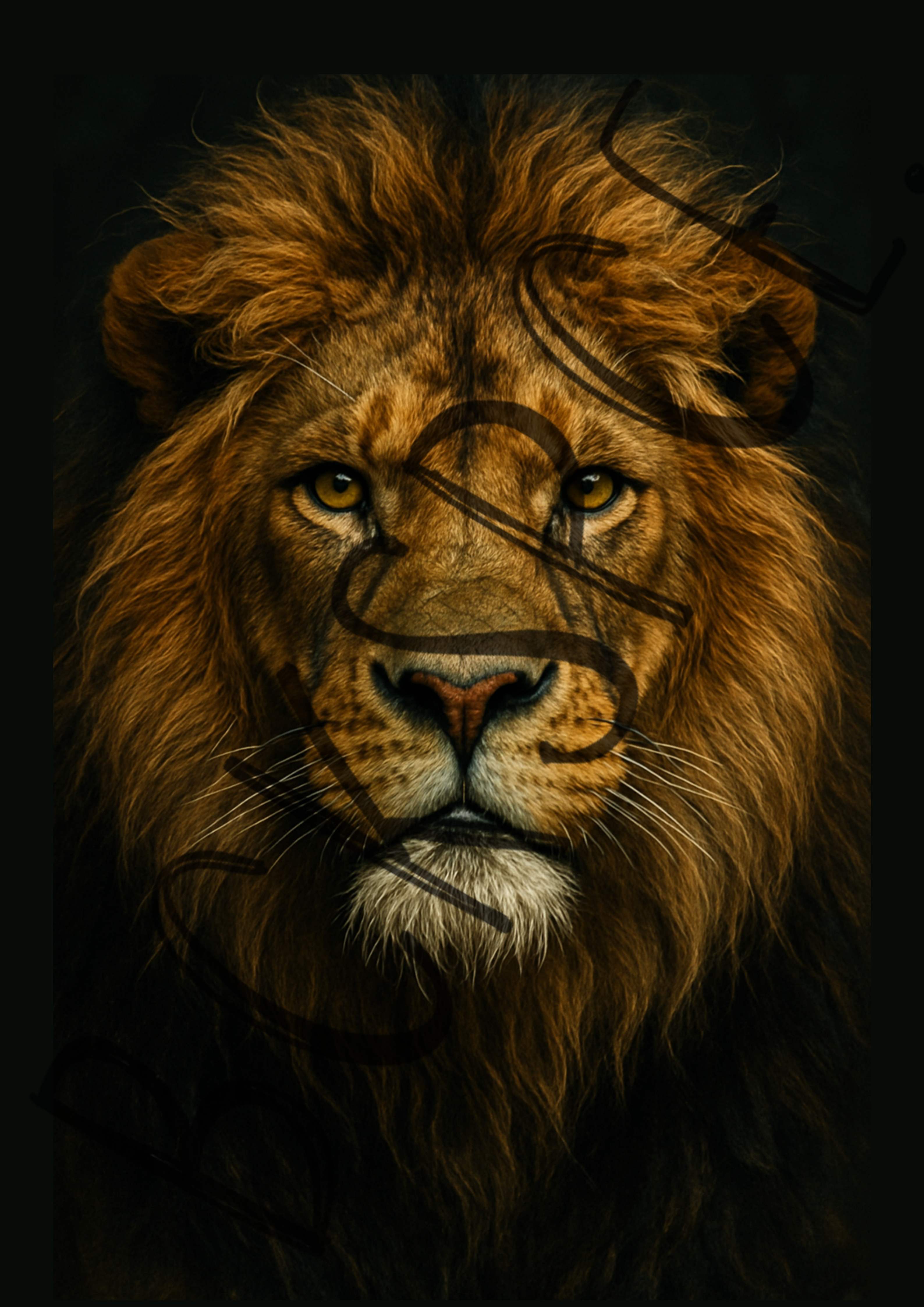 Realistic Sketch Art