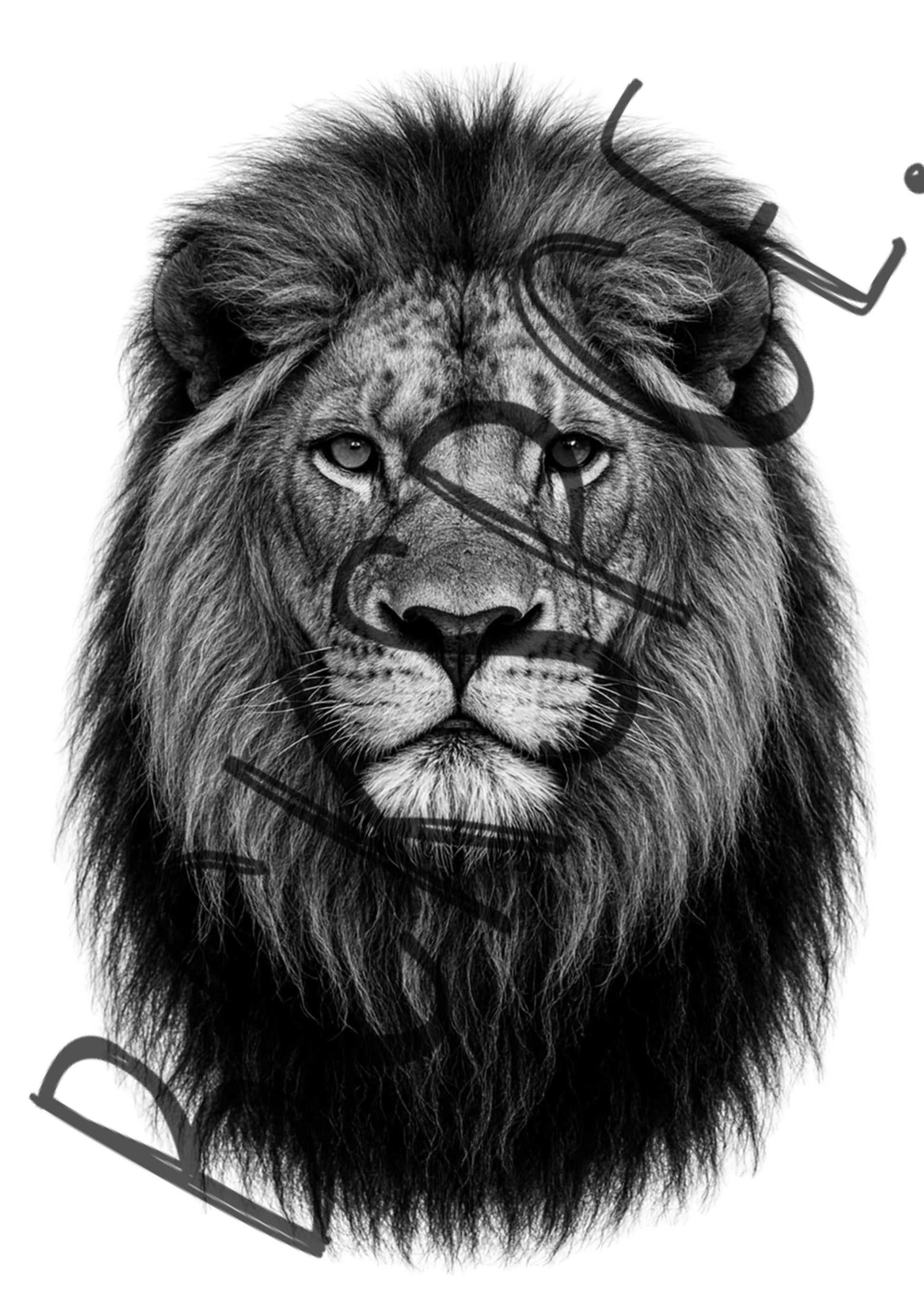 King Mufasa