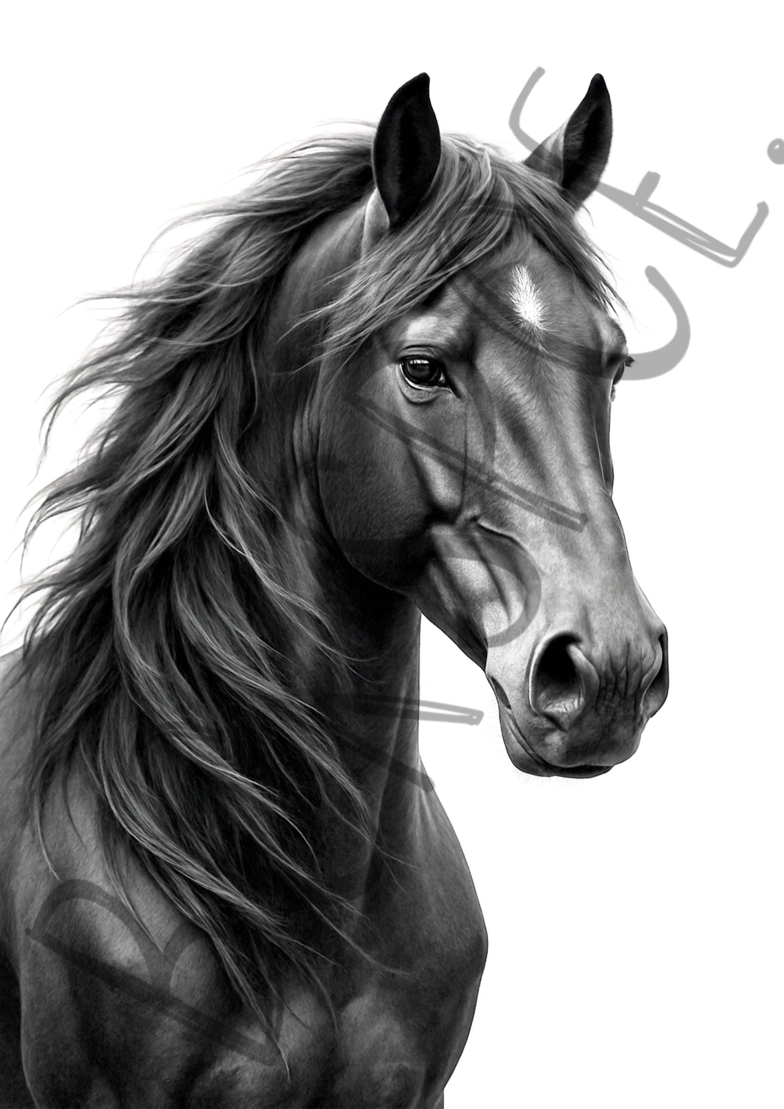 Dark Horse Sketch